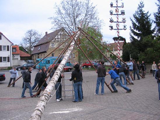 Maibaum 198.jpg